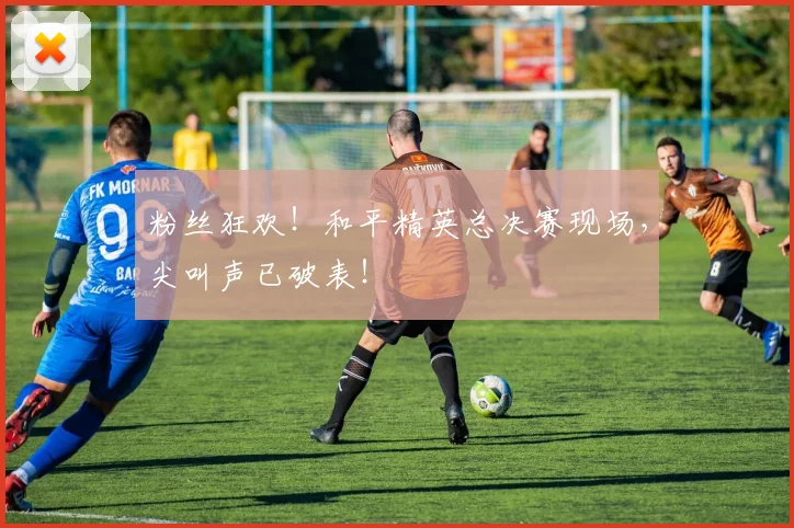 粉丝狂欢!和平精英总决赛现场,尖叫声已破表!