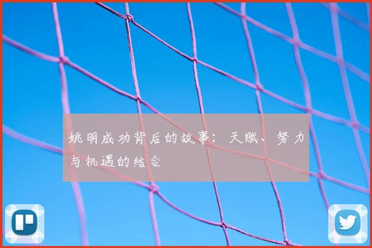 姚明成功背后的故事:天赋、努力与机遇的结合